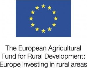 EU Logo
